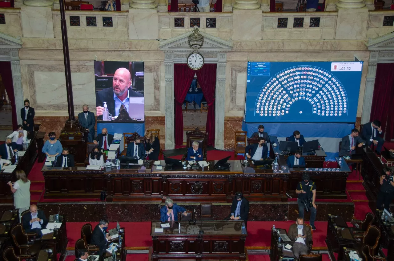 Cámara de Diputados.