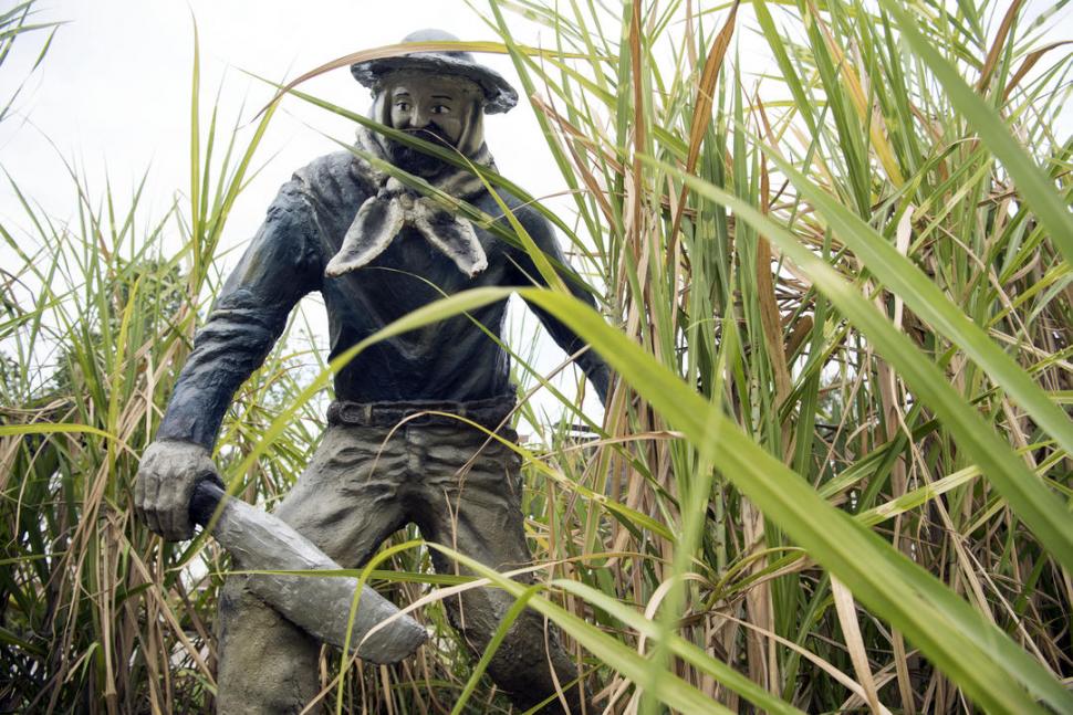 EL ZAFRERO. Una imagen popular que tiene que ver con la historia social y económica de nuestra provincia, donde el cultivo de la caña de azúcar fue y sigue siendo una actividad fundamental.