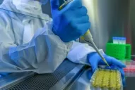 Alerta en Bolivia: Chapare, el nuevo virus mortal similar al ébola que preocupa a todos