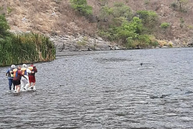 Se estrelló un helicóptero y murió el banquero Jorge Brito en Salta