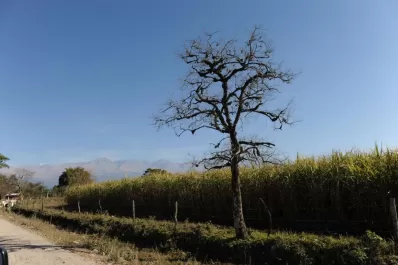 Reporte Rural: el desafío de producir más y cuidar el ambiente