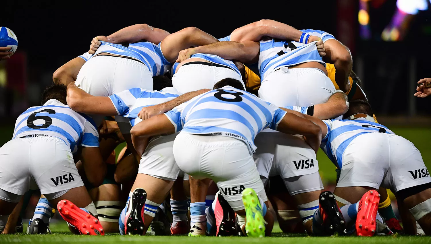 Los Pumas