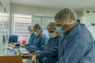 Tucumán cerró el mes con 19 muertes por covid-19 en un día