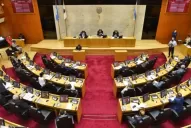 ¿En qué consiste el salvataje económico para comerciantes que diseña la Legislatura?