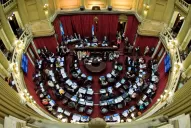 La suerte del proyecto de legalización del aborto se definiría en el Senado