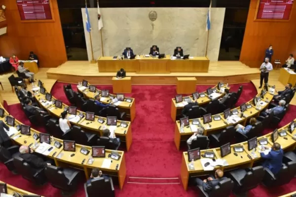 ¿En qué consiste el salvataje económico para comerciantes que diseña la Legislatura?