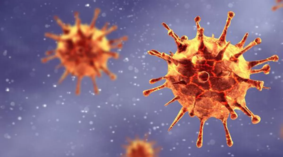 El virus podría ingresar por la nariz al cerebro