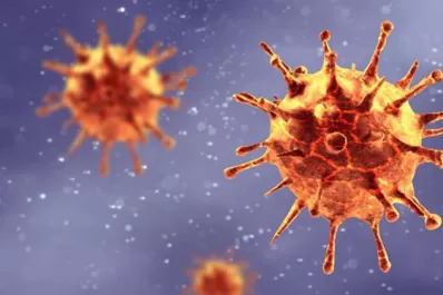 El virus podría ingresar por la nariz al cerebro