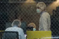 Pfizer recorta la meta de producción de su vacuna