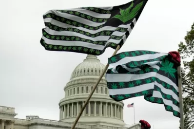 La legalización federal de la marihuana recibió media sanción en EEUU