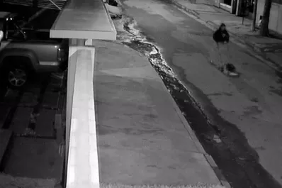 Capturaron a dos sospechosos por robos en Yerba Buena