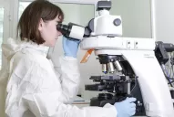 Desminten que esté prohibido tomar alcohol tras aplicarse la vacuna rusa