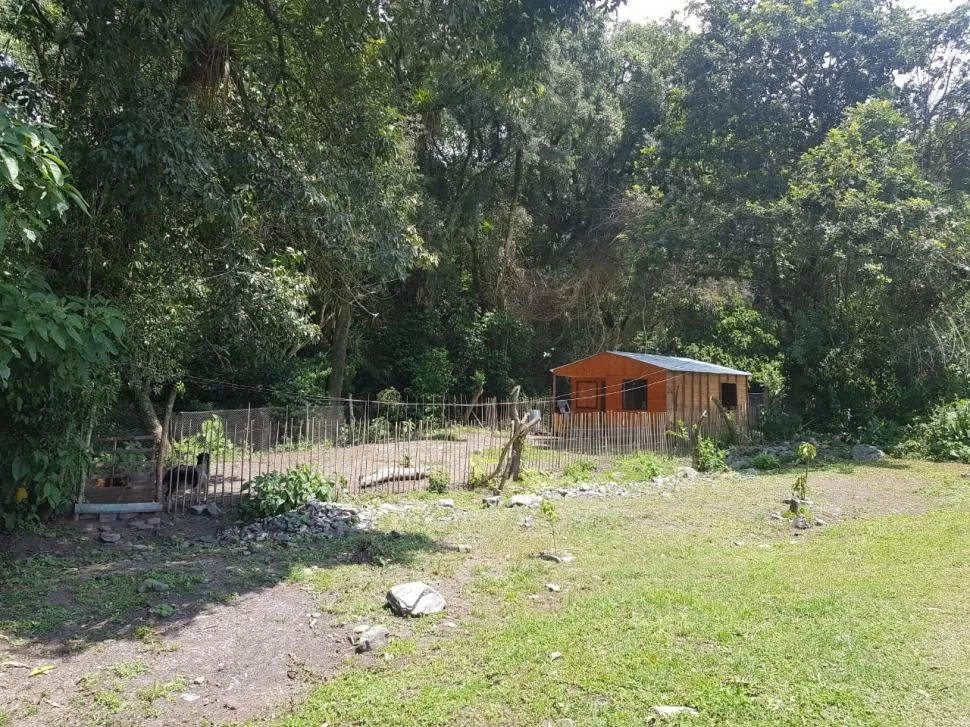 ANTES. La casita de Valdez, ubicada casi al borde del río Muerto.  