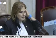 Ascárate: “Soy de una provincia provida y voy a respetar los valores del pueblo tucumano”