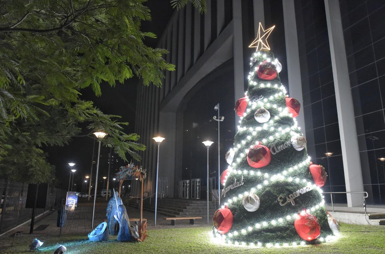 ARBOLITO NAVIDEÑO. Prensa HLT