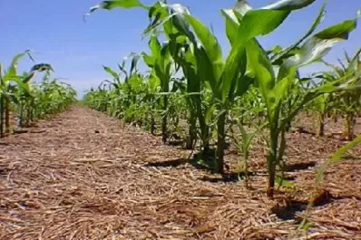 Proteger el suelo, para que el futuro sea real