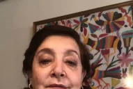Es un deber del Estado permitir que las mujeres no se mueran, dijo la senadora Mirkin