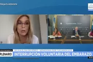 Elías de Pérez cruzó a Ginés por el aborto; ¿qué le respondió el ministro de Salud?
