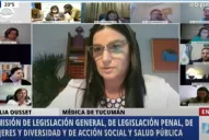 A través de una carta, Lucía pidió al Senado que apoye el proyecto de aborto legal y gratuito