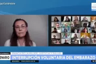 Una médica comparó al aborto con el exterminio nazi y Beatriz Mirkin estalló: se pasó de rosca