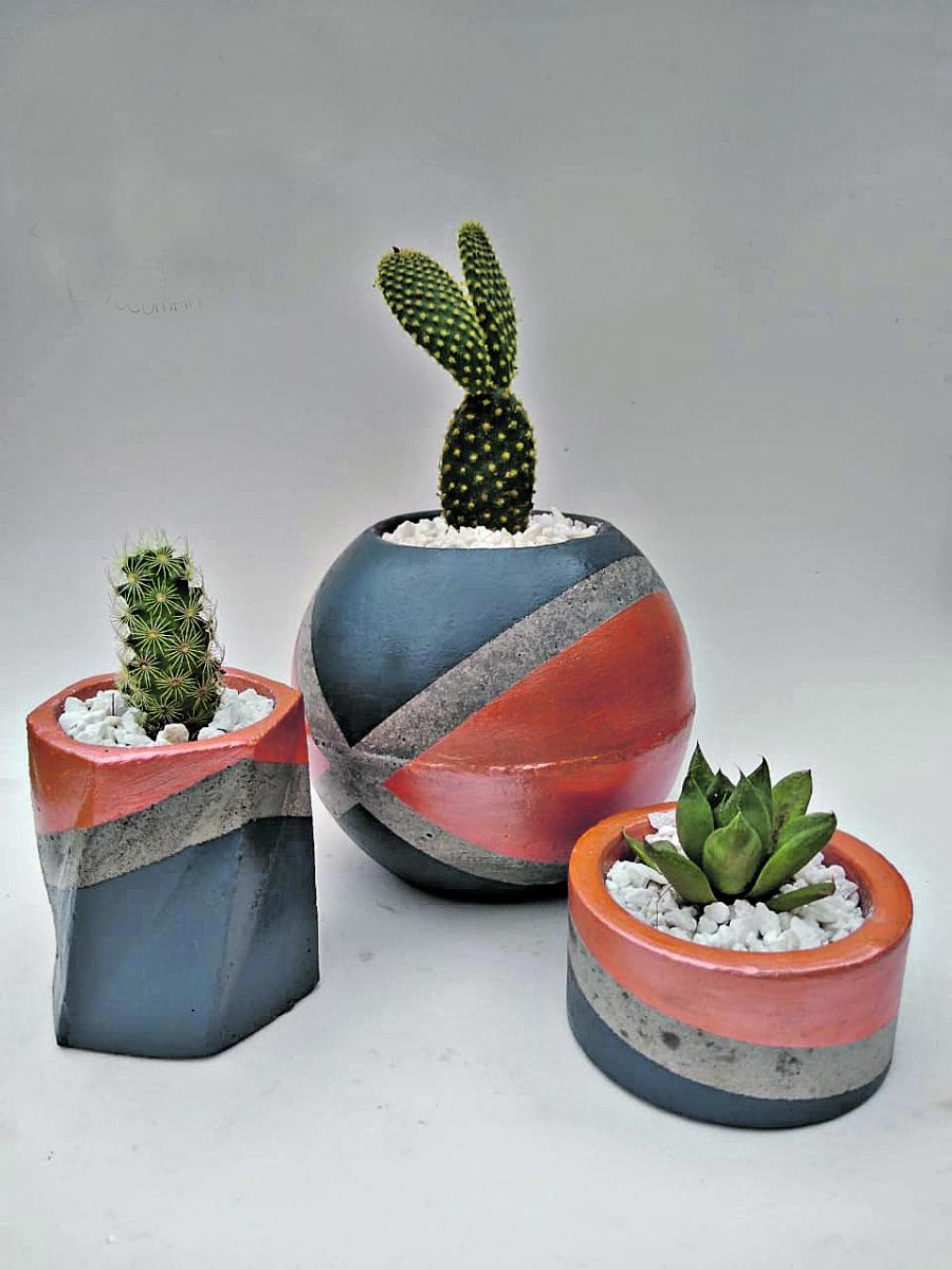 MÚLTIPLES FORMAS. Macetas originales con plantas,una buena opción.