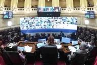 El Senado avaló en comisión al plan de los 1.000 Días 