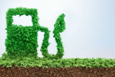 Reclaman aprobar la prórroga de la Ley de Biocombustibles