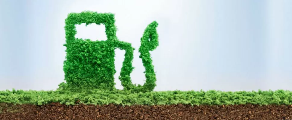 SOSTENER EL PRECIO. La Ley de Biocombustibles procura que los excedentes de la producción de azúcar no se vuelquen al mercado doméstico.   