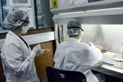 La nueva cepa sólo será analizada en el Malbrán