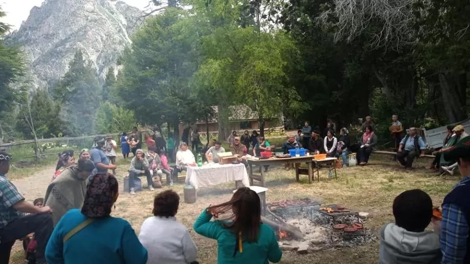 Mapuches, en la toma. Foto DIARIO ANDINO