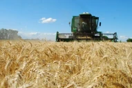 Los patentamientos de maquinaria agrícola subieron un 41% en febrero