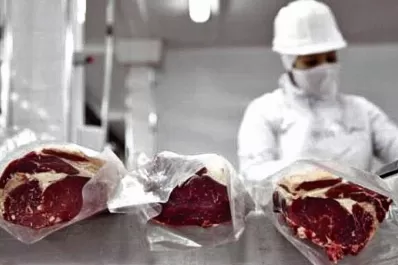 Carne bovina: hasta el mes pasado, el volumen exportado creció un 10% interanual