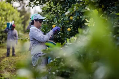 Pandemia: otra crisis que el productor piloteó