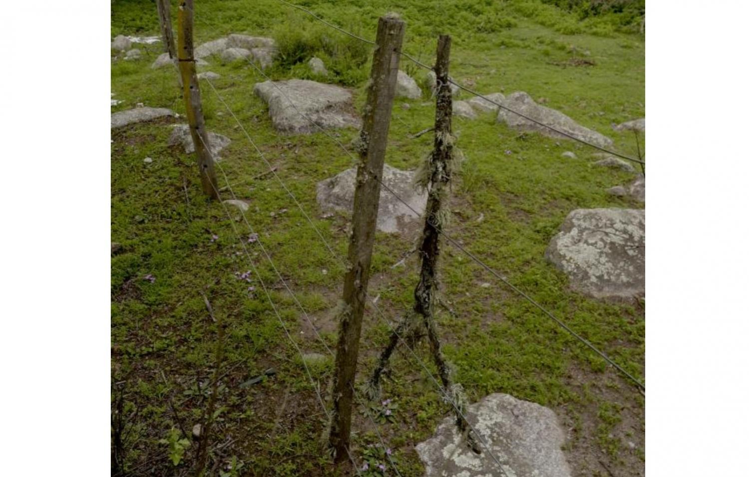 CUESTIÓN DE ALAMBRES. Dicen que hay corrimientos ilegales de lotes. 
