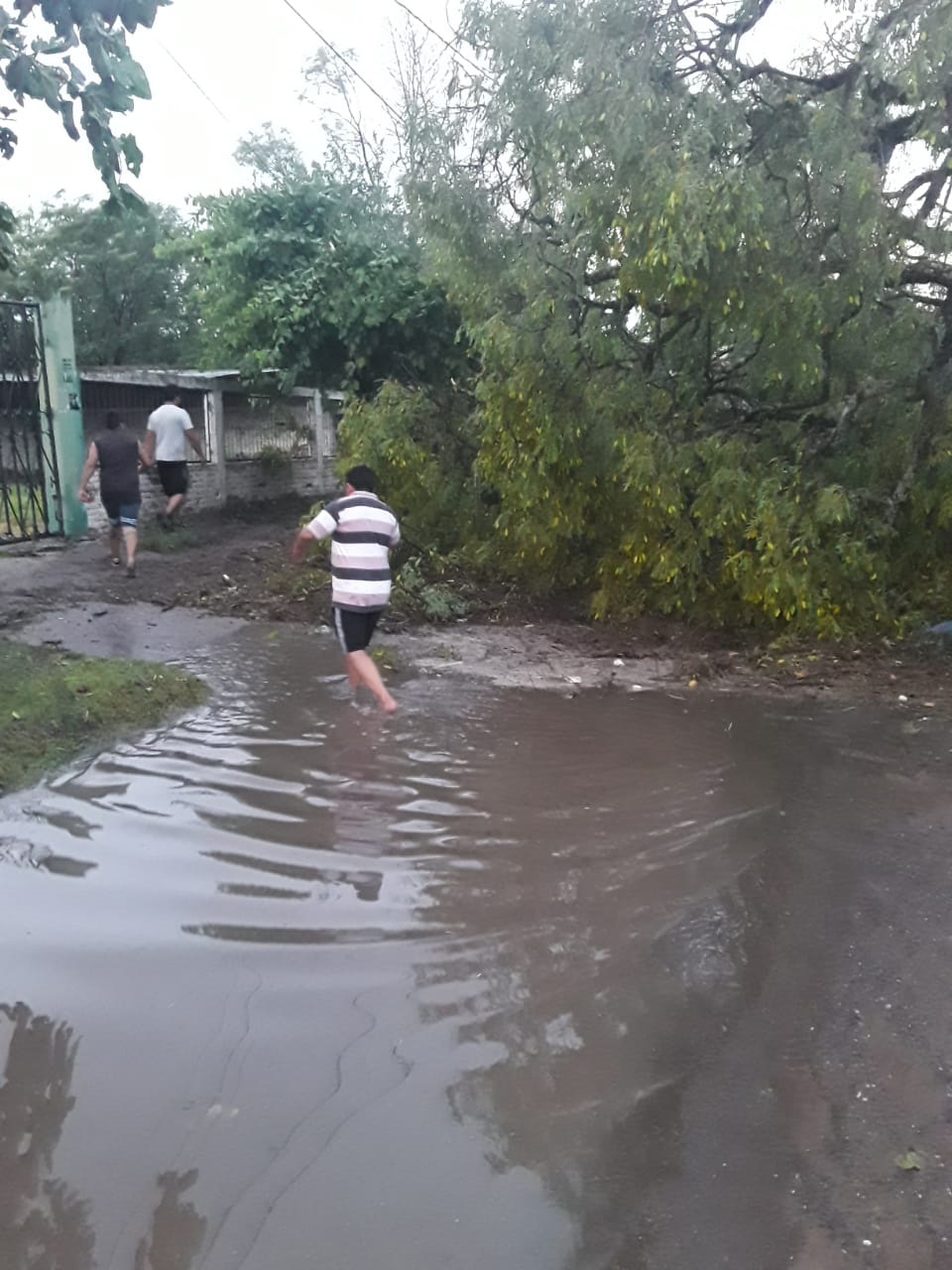 AGUA Y BARRO. Varias casas quedaron aisladas. 