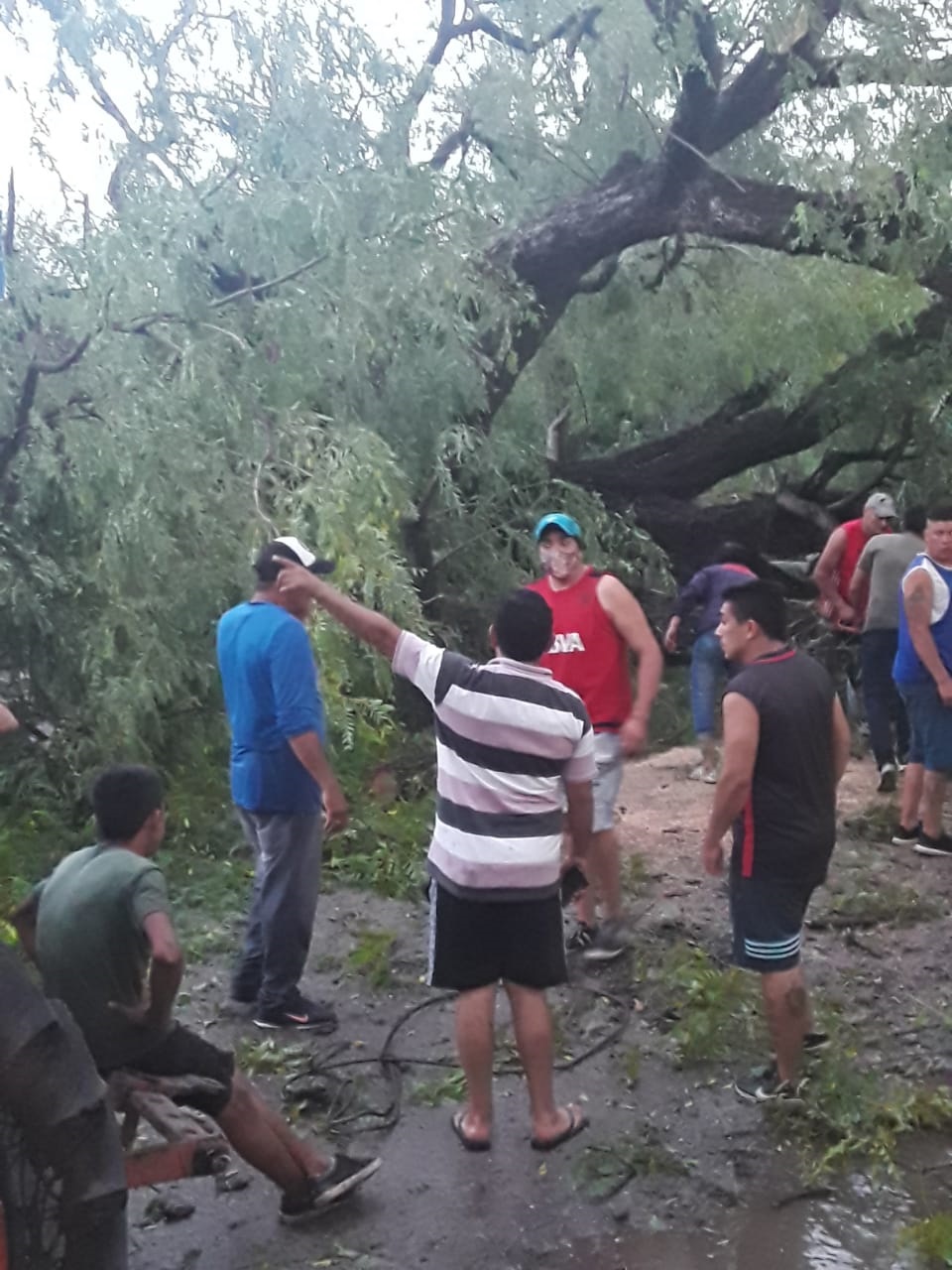 SIN LUZ. Las ramas quebradas por el viento cortaron los cables.