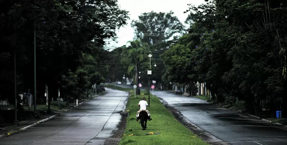  foto de diego aráoz