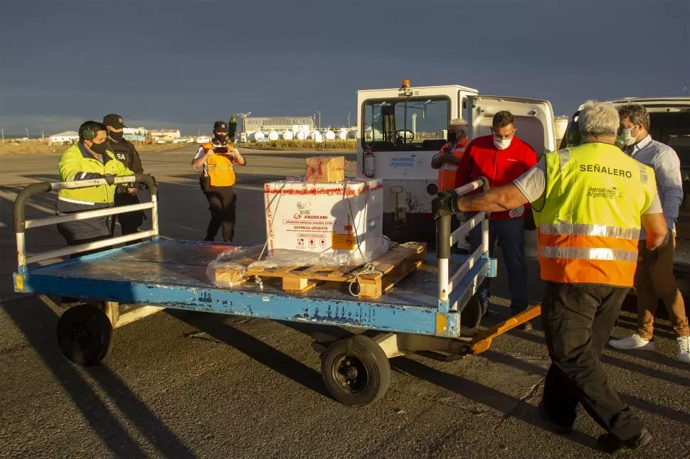 DISTRIBUCIÓN. Las primeras dosis arribaron ayer a Santa Cruz y Tierra del Fuego, unos distritos en los que el envío se realizó por vía aérea. 