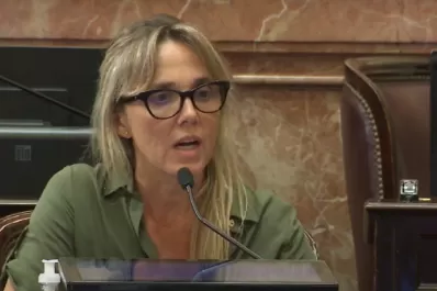 Aborto: la senadora Gladys González dio un conmovedor discurso para explicar su postura