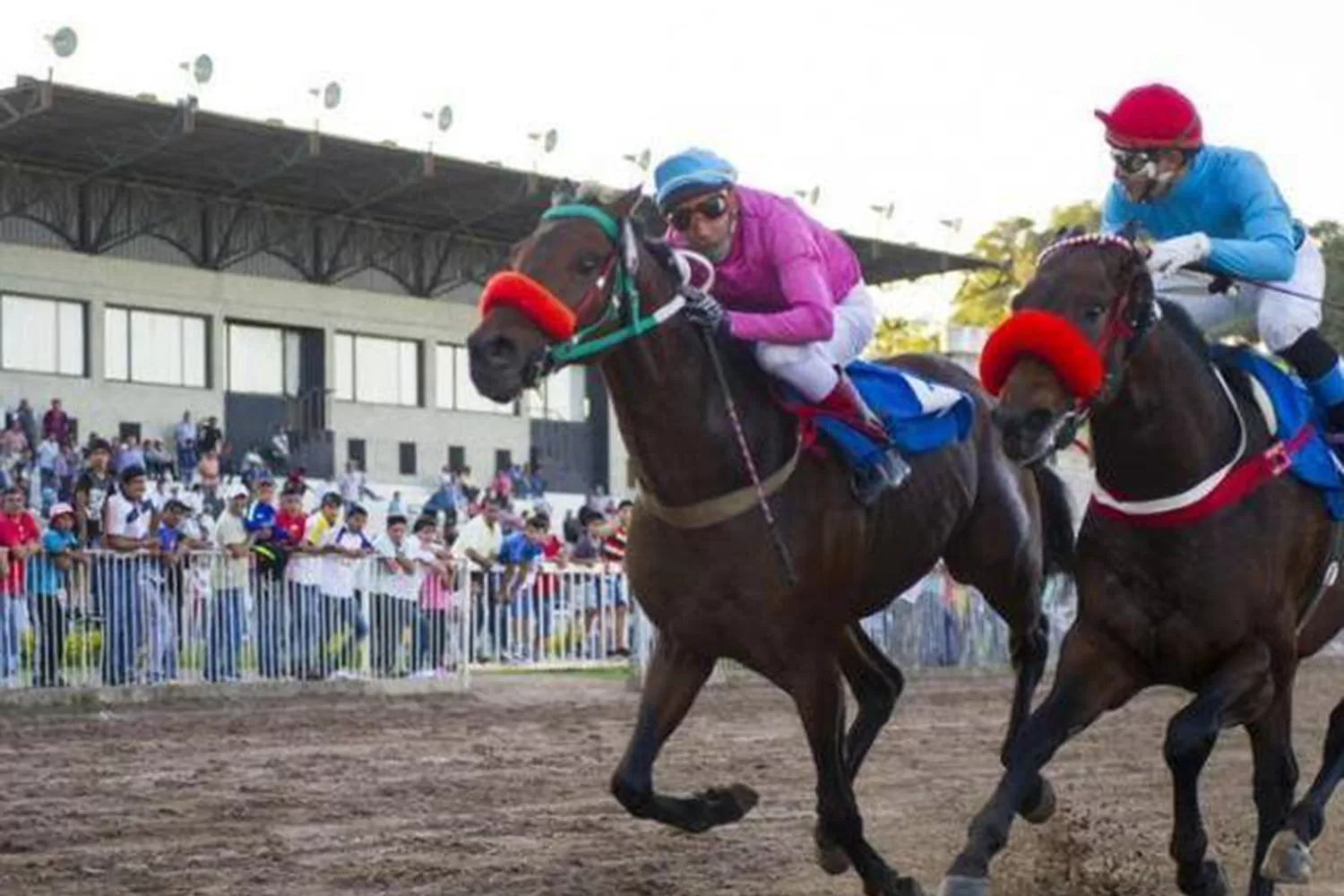 El turf es una fuente de trabajo en Tucumán