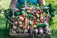 Eliminan las retenciones a las exportaciones de productos de las economías regionales