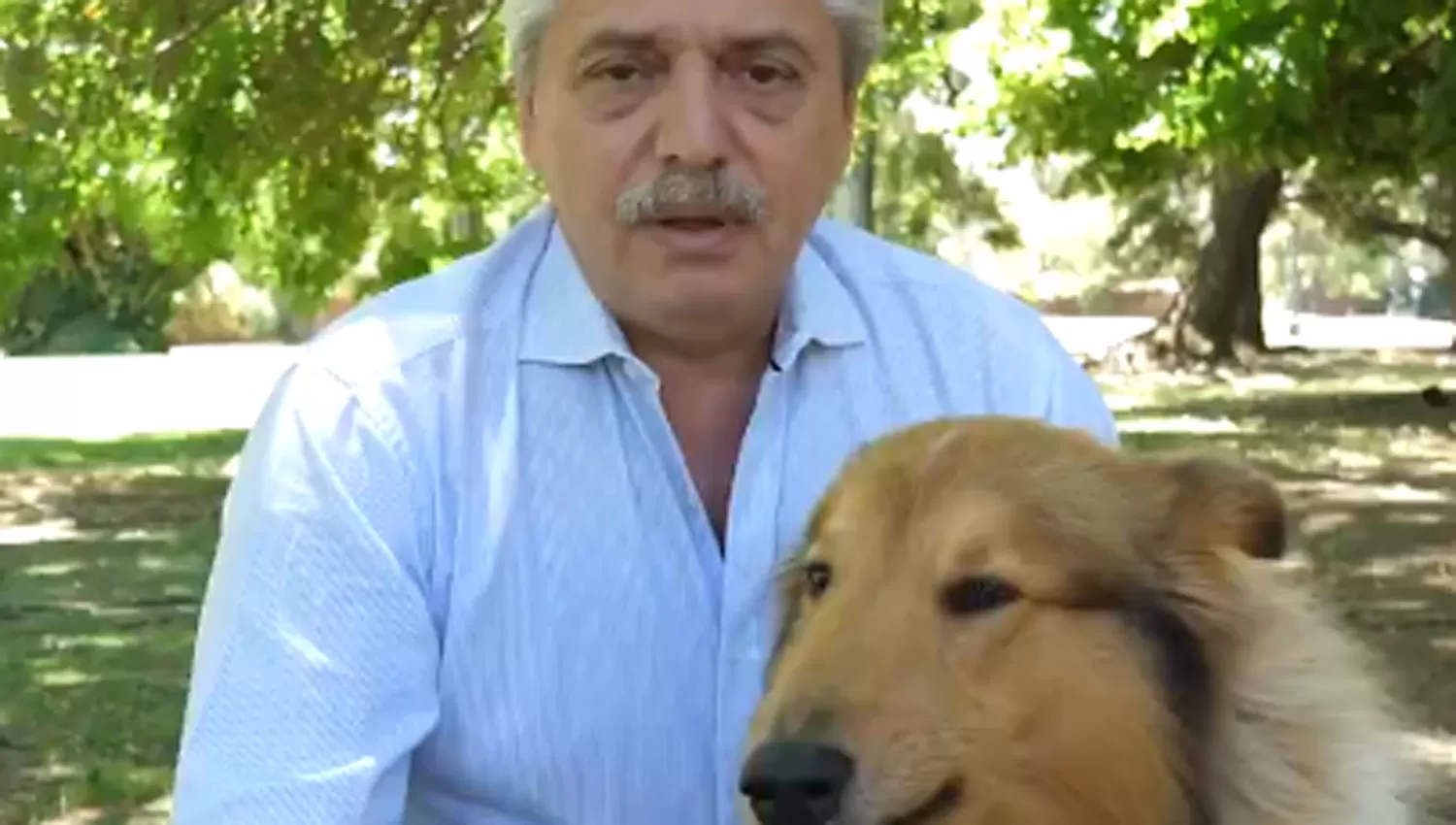 EL MENSAJE. Junto a su perro Dylan, el presidente Fernández agradeció el compromiso de los argentinos en un año tan difícil.