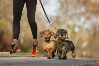 Cómo retomar (o empezar) hábitos saludables después de las Fiestas