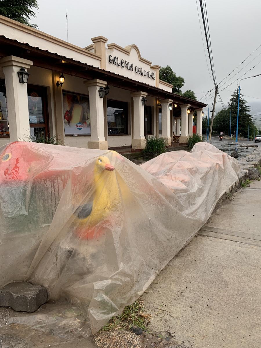 LA GACEA/FOTO DE JULIO MARENGO