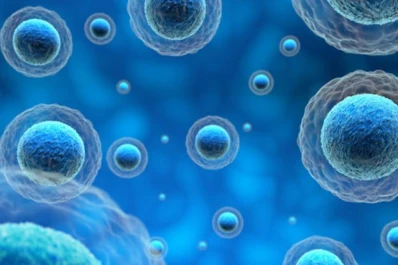 Detectan de qué manera las proteínas contribuyen al movimiento de las células