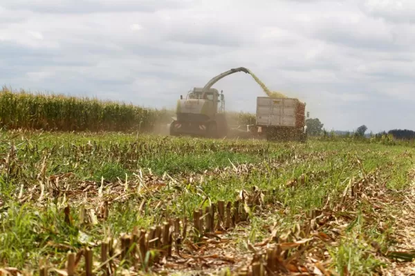 “No está en duda el abastecimiento de la mesa de los argentinos, dijeron en la Rural