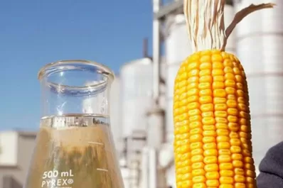 El Gobierno oficializó los nuevos precios para el bioetanol a base de maíz