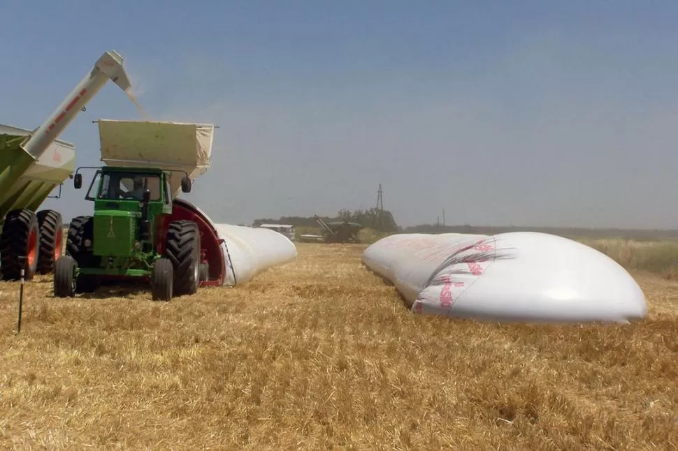 DESACUERDO. La Sociedad Rural de Tucumán sostuvo que el Gobierno toma decisiones inconsultas.