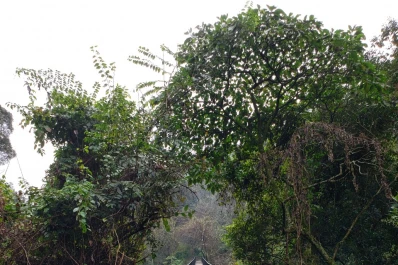 Cómo y dónde practicar senderismo