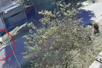 Video: motochorro arrastró por la calle a una mujer para robarle la cartera